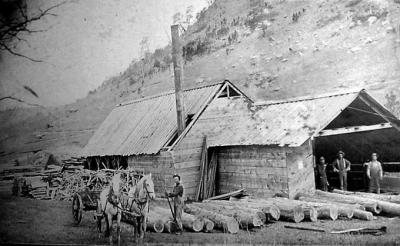 Sawmill near Hulett, 1910. Wyoming Tales and Trails.