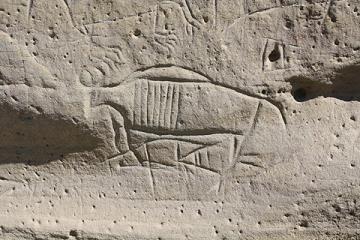 A buffalo at White Mountain Petroglyphs. Tom Rea photo.