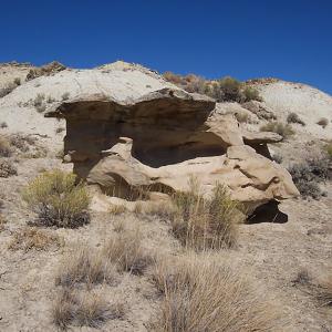 Panel 4 overview.  The view is to west (Western Archaeological Services).