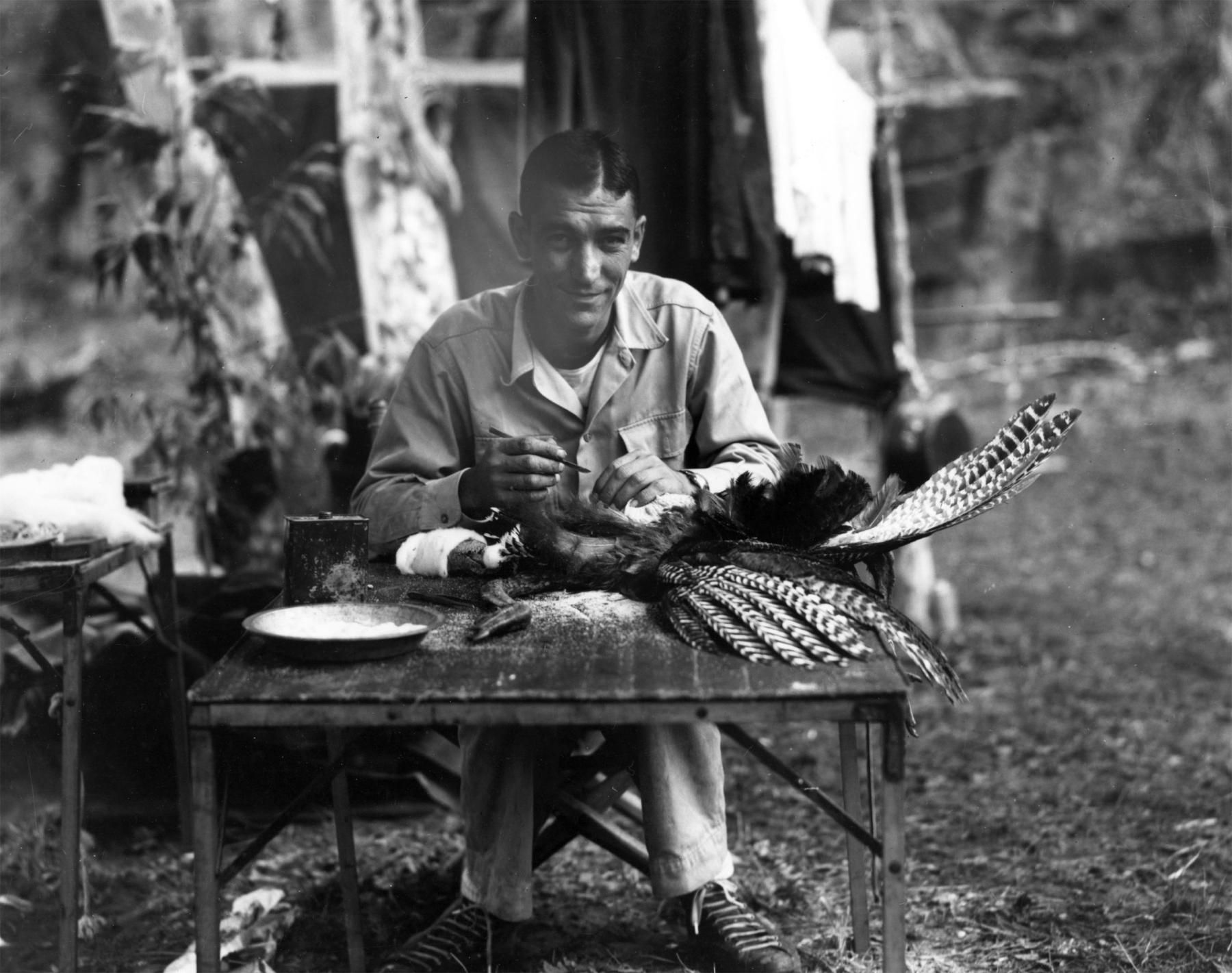 Starker Leopold wrote comprehensive books about wildlife in Alaska and Mexico, where his work took advantage of the Spanish he learned from his mother, a descendant of Hispano New Mexicans. Here, he inspects a turkey near the Rio Gavilan, in Sonora, Mexico on a trip sponsored by University of California-Berkeley, July 1948. Leopold Collection, University of Wisconsin-Madison archives.