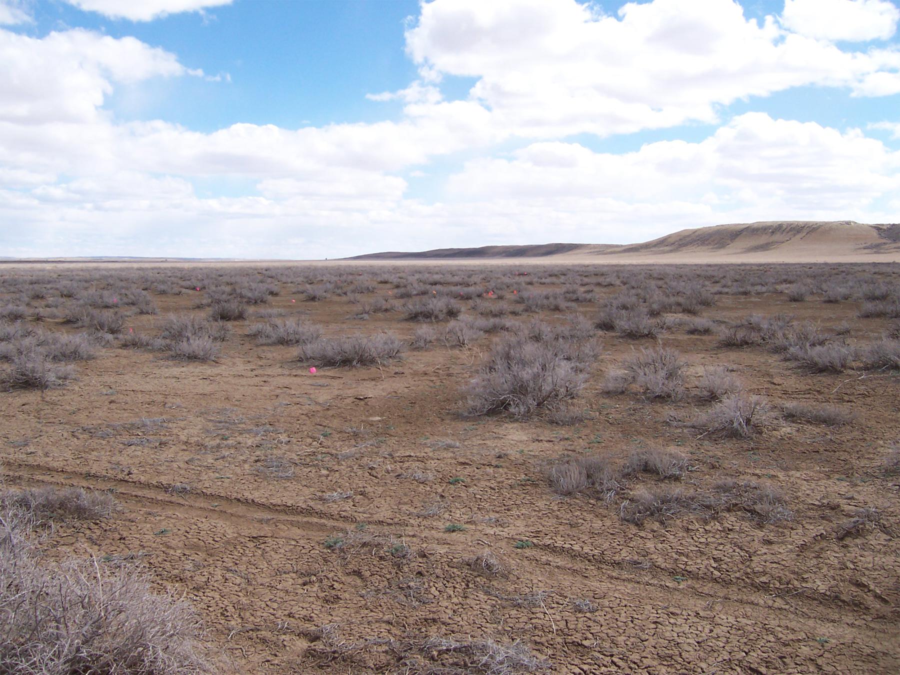 Figure 3: A dry lake bed in eastern Sweetwater County. Cherokees on the 1849 Evans Route survived on water they found in similar playa lake beds as they crossed the Red Desert. The water had been left by recent rains and would quickly evaporate. Without this water, they might not have reached the Green River. Western Archaeological Services.
