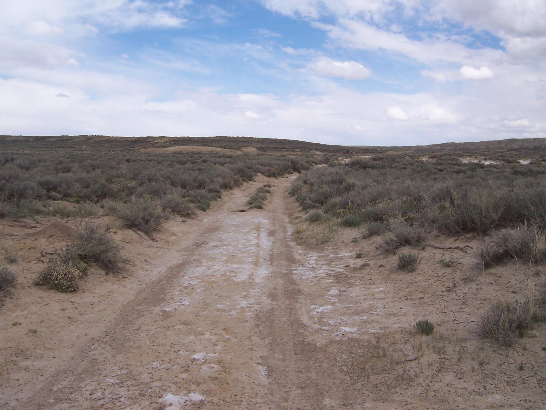Figure 4: Possible remains of the 1849 Evans Route east of Point of Rocks, Wyoming. (Western Archaeological Services).
