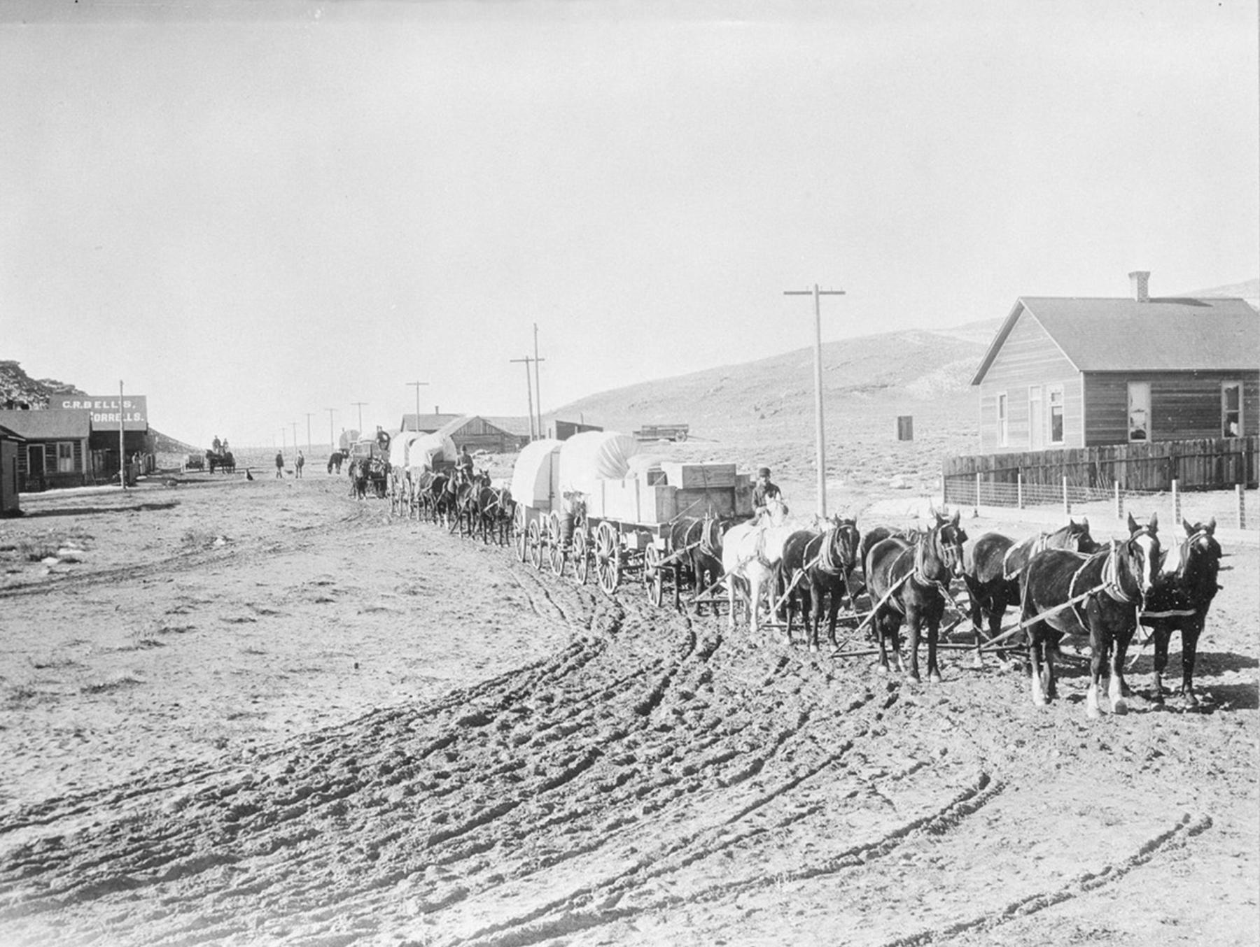 Freight wagons on Spruce Street in Rawlins, Wyoming, in an undated photo. The closest outfit features a 10-mule team drawing three wagons. For 45 years or more, freighters like these hauled supplies from the Union Pacific line to northwestern Colorado and returned, often loaded with wool or other agricultural products. American Heritage Center, University of Wyoming.