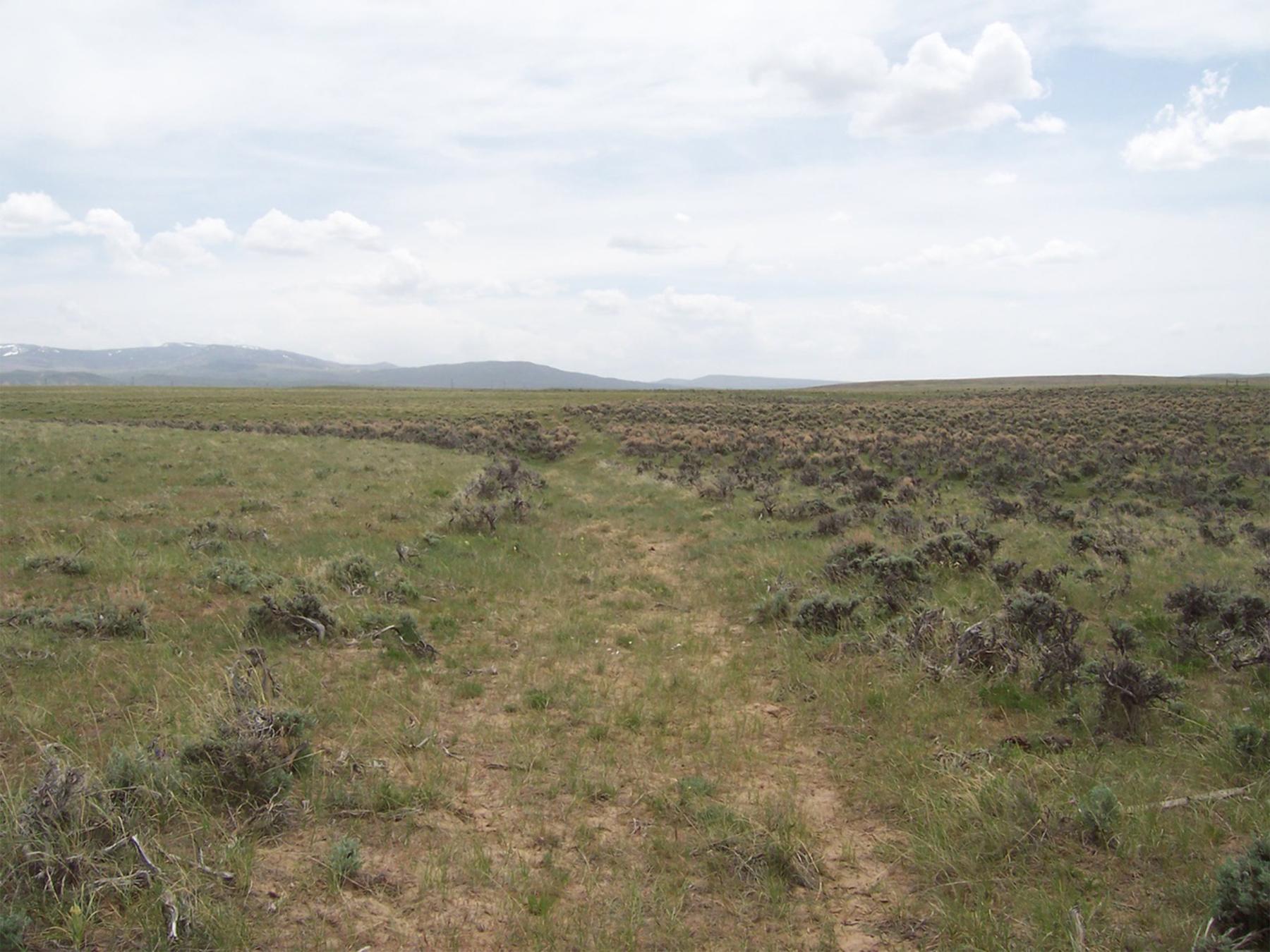 A view of the remnants of the Baggs to Craig Wagon Road in Colorado. The Baggs to Craig road was a continuation of the Rawlins to Baggs Road, ultimately ending at Meeker, Colorado, on the site of the old Ute White River Agency. Western Archaeological Services.