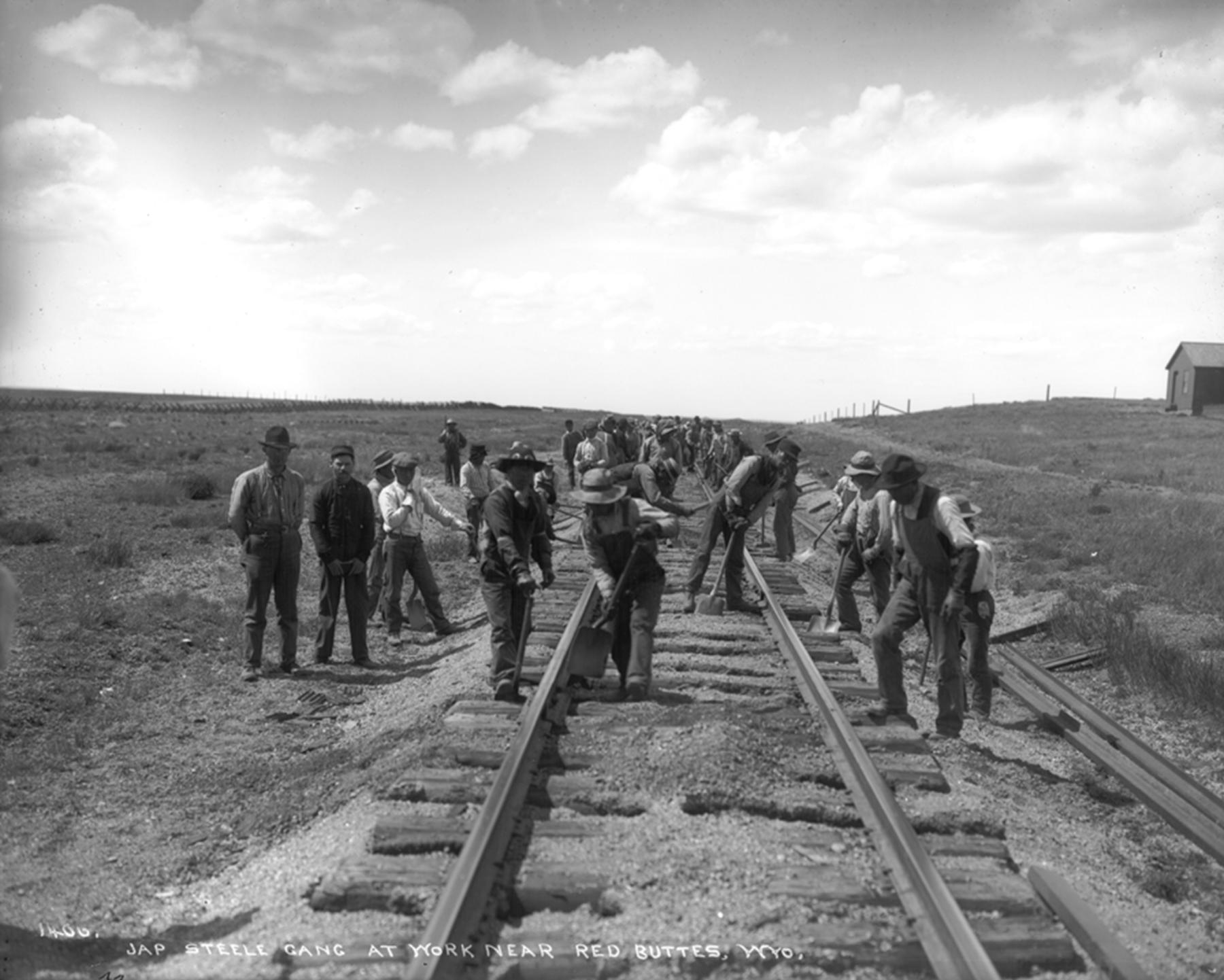 Japanese railroad workers began arriving in Wyoming at least as early as 1892, when the Oregon Short Line, a subsidiary of the Union Pacific, employed 40 Japanese on its line from Granger, Wyoming, to Oregon. Here, a gang of Japanese workers replaces rails on the Union Pacific at Red Buttes, south of Laramie, in 1906. Wyoming State Archives.