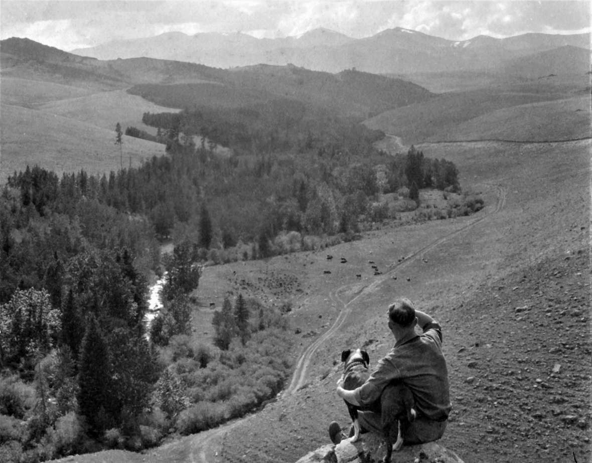 In this undated photo, man and dog look down on the Black and Yellow Trail in the Bighorn Mountains.  King Collection, Wyoming State Archives.