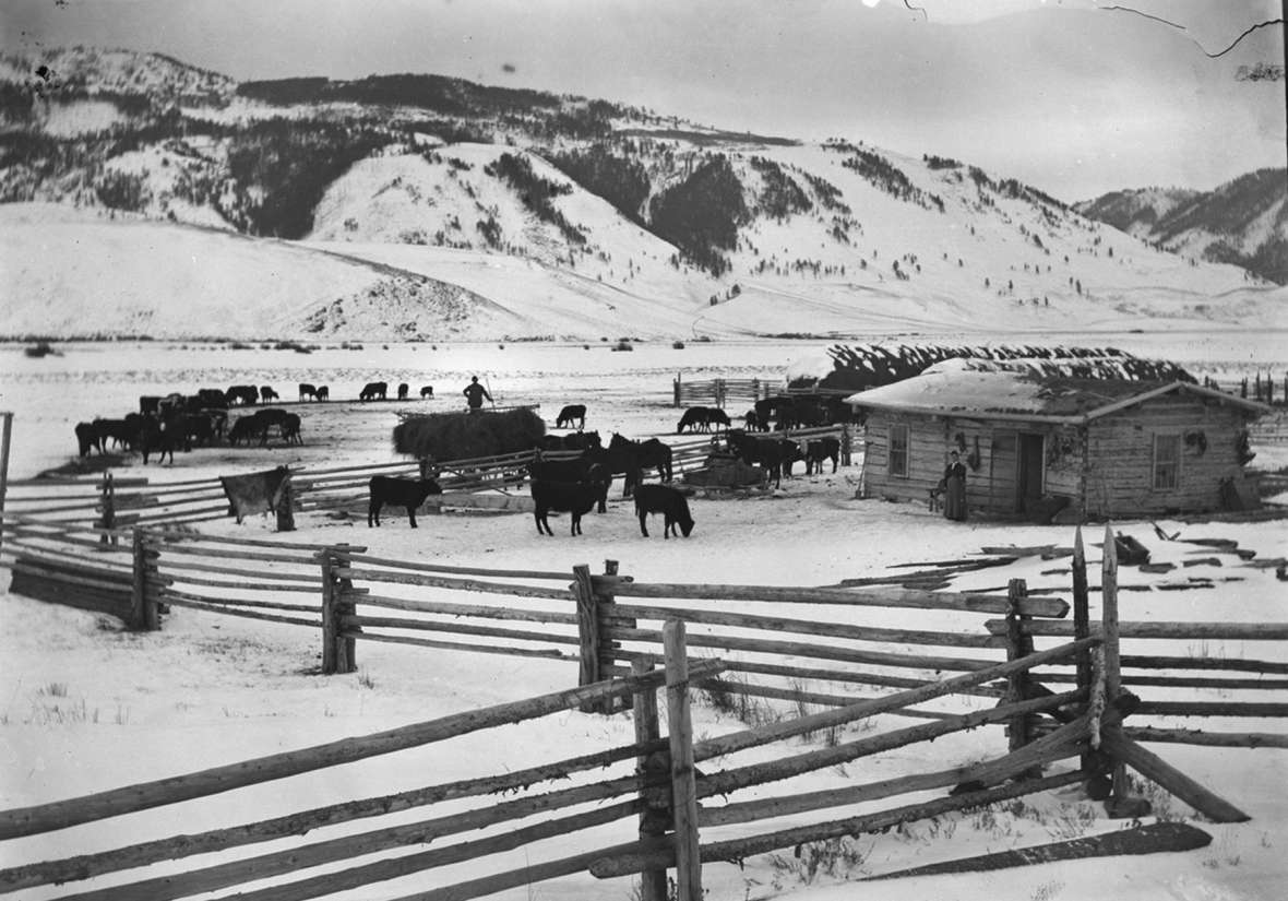 In 1888, at age 30, Stephen Leek homesteaded a ranch three miles south of today’s Jackson, Wyo., in an area now known as South Park. This photo shows the corrals and ranch house in 1891. American Heritage Center.