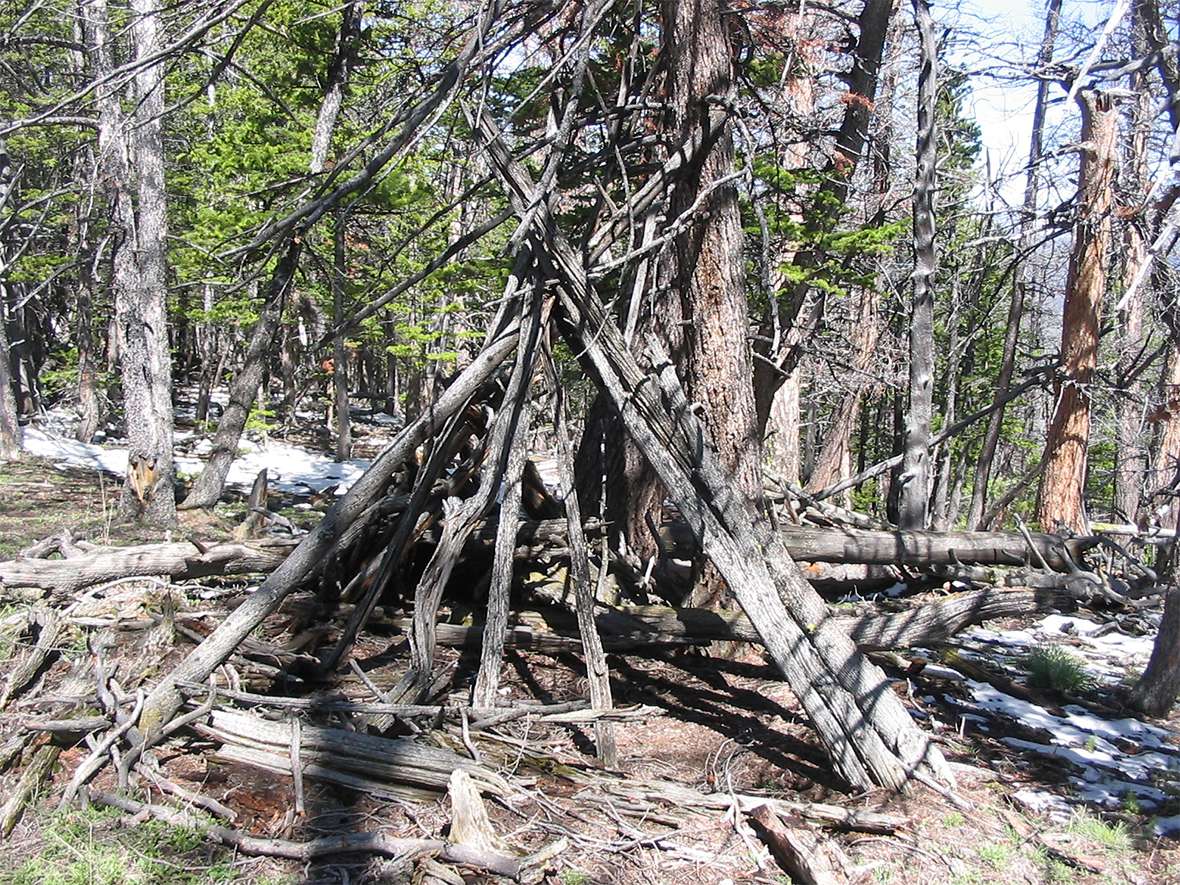 shoshone tribe housing