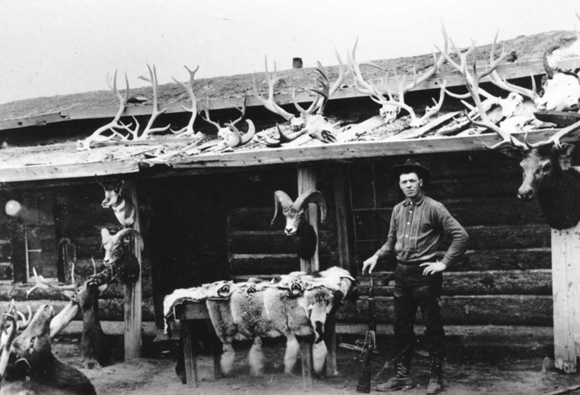 Ned Frost turned his market-hunting skills into a lucrative business guiding and outfitting paying sportsmen. Park County Archives.    