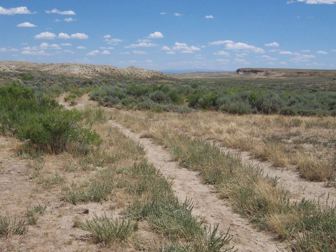 A stretch of the Overland Trail along Muddy Creek between Sulphur Springs and Washakie Stations. The U.S. Army recognized in the 1850s that travel across the Overland Trail would be difficult given the lack of water, grass and fuel. Author photo.