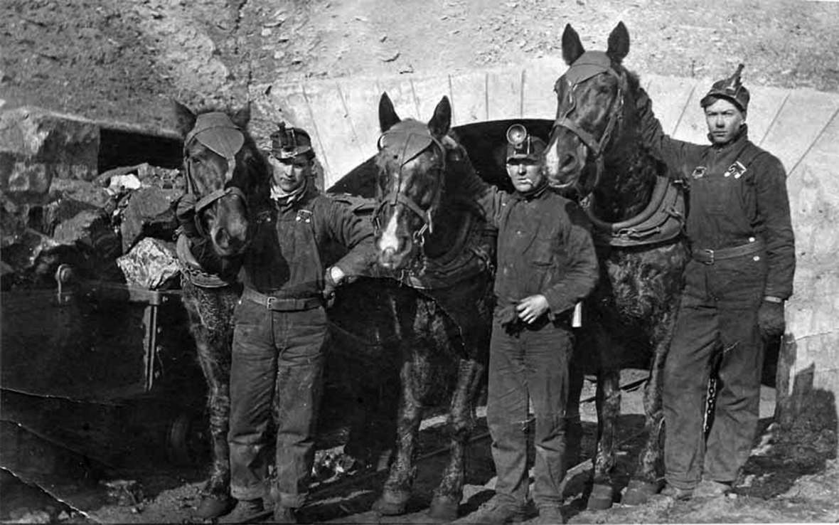 Joe Overy, James Duncan and Peter Robertson at the Reliance mine entrance, 1913. Horses were still used at the time to pull the coal carts from the mine. Later they would be replaced by a trolley-like system of coal cars. Sweetwater County Historical Museum photo.