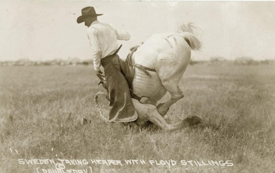 Floyd Stillings rides Sweden, Cheyenne Frontier Days, 1930s. R.R. Doubleday photo, Montana History Portal. 