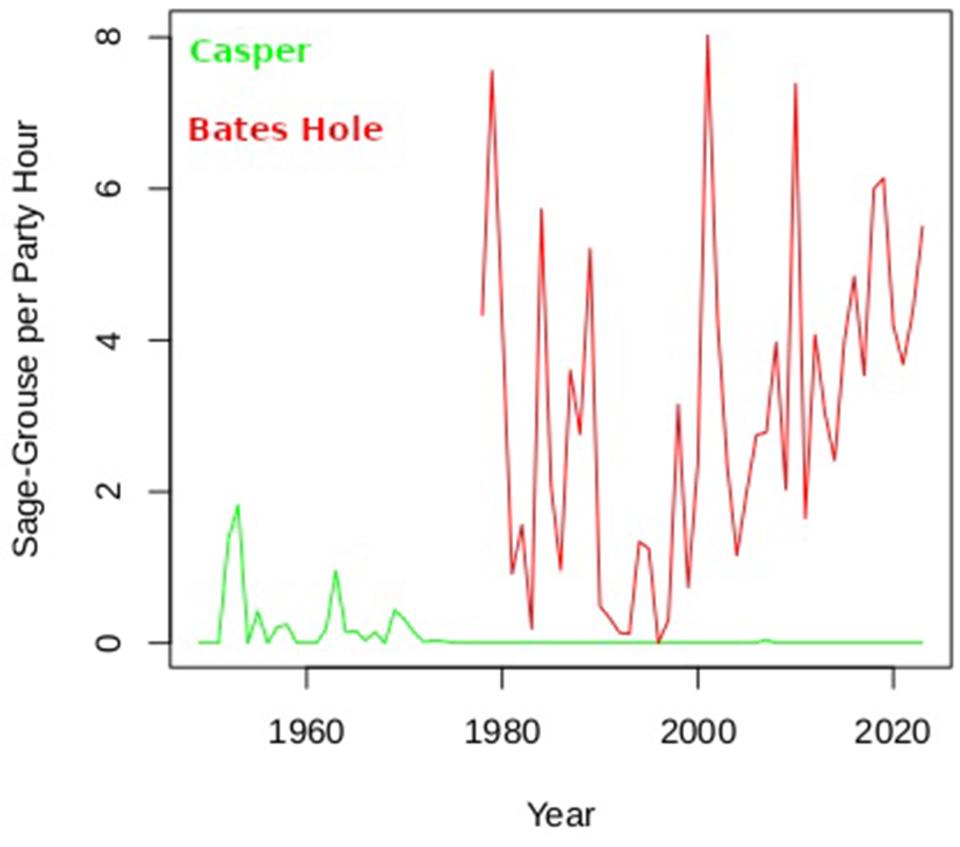 A comparison of Casper and Bates Hole Christmas Bird Count populations since 1948. The Casper circle is mostly urban or mountain-forest habitat; the Bates Hole circle is mostly sagebrush. The figures are expressed in party hours in the field. If a party of three birders spots four sage grouse during two hours in the field, that’s two sage grouse per party hour. Casper populations have remained very low since the 1970s; Bates Hole populations fluctuate widely but seem to be on the rise. Data like these are s