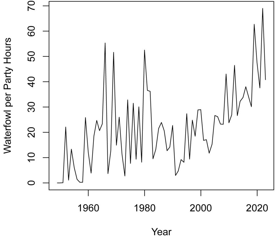 Populations of waterfowl—ducks, geese, coots, rails and cormorants, for example—as measured in the Casper Christmas bird-count circle since 1948, expressed in sightings per party hours. These populations also fluctuate widely, but seem to be generally on the rise, Graph by author.