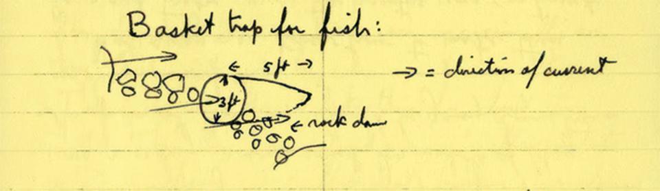 Anthropologist Dimitri Shimkin spent time on the Wind River Reservation in Wyoming from the 1930s through the 1970s. His field notes include descriptions of a traditional Shoshone fish trap.