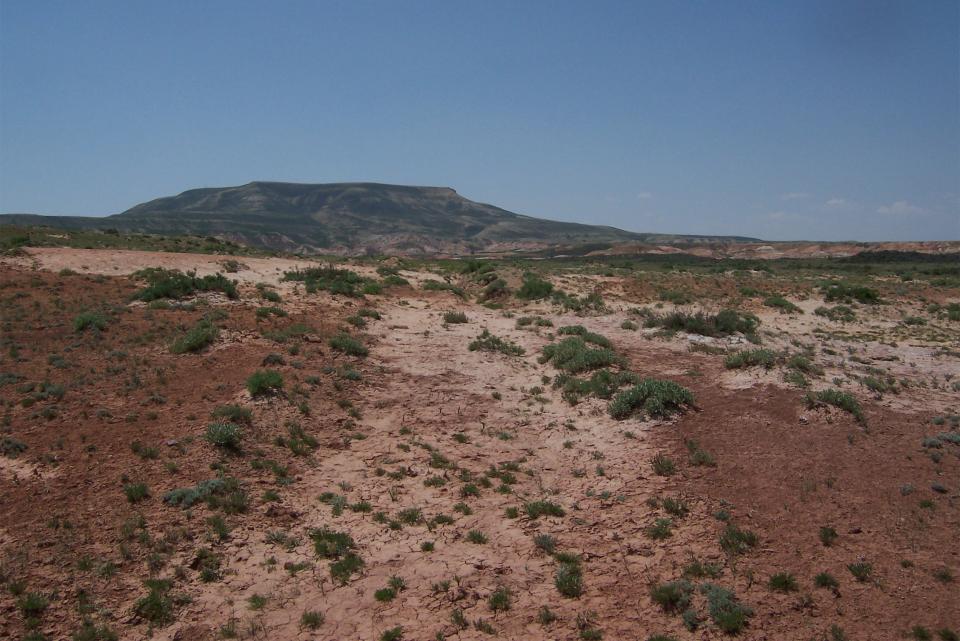 Figure 7: North Flat Top Mountain, as seen from the 1850 Southern Route. Western Archaeological Services.