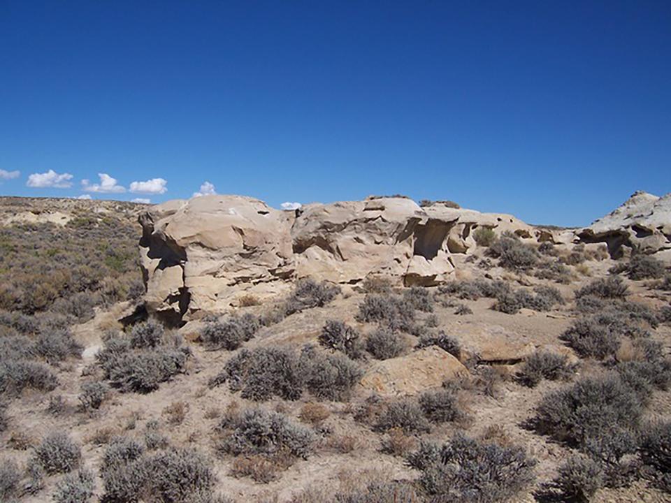 Panel 1 overview.  The view is to the east (Western Archaeological Services).