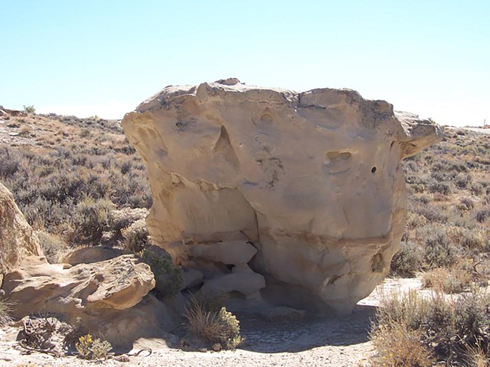 Panel 2 overview.  The view is to the south (Western Archaeological Services).