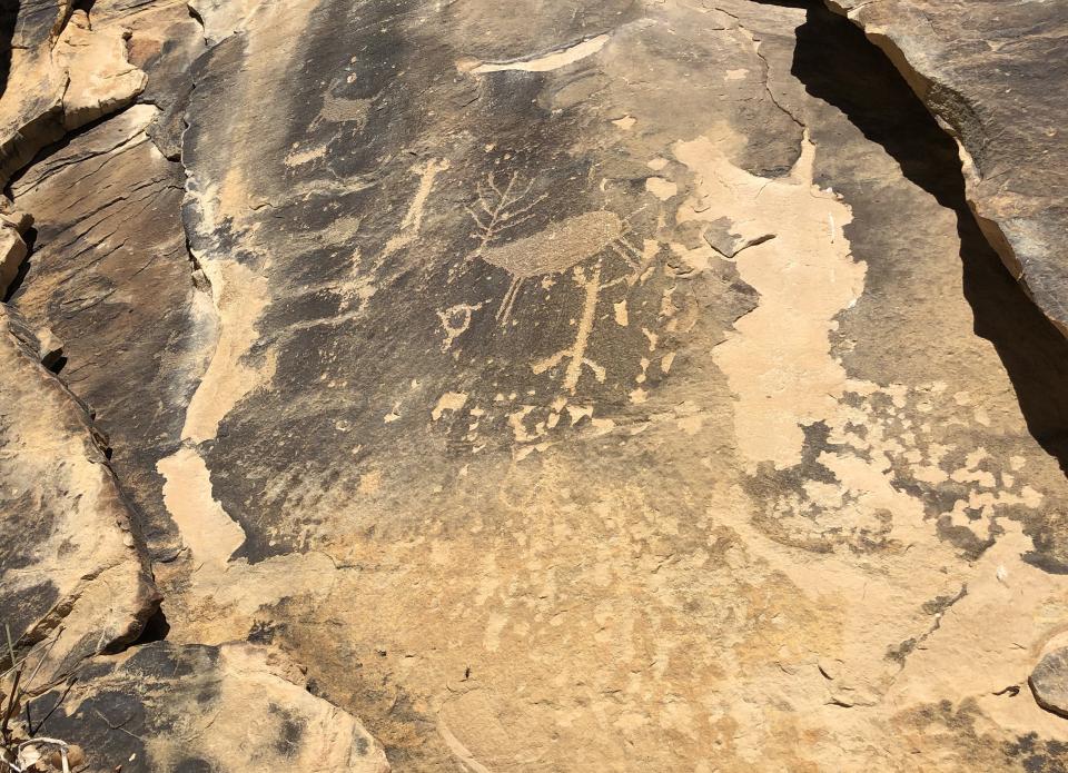 Rock art panel in Whoopup Canyon 