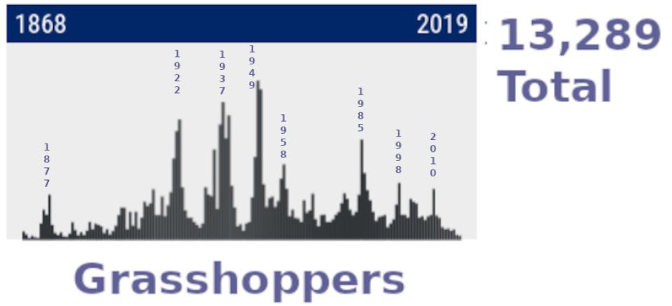 Bar chart shows numbers of grasshopper populations in Wyoming peaking in1877, 1922, 1937, 1949, 1958, 1985, 1998, and 2010 for the years between 1868 and 2019.