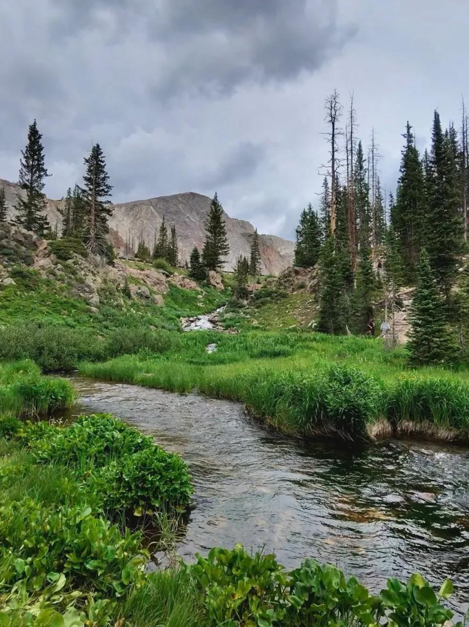 Summer image of a green mountain meadow with stream meandering through and granite mountain in the background