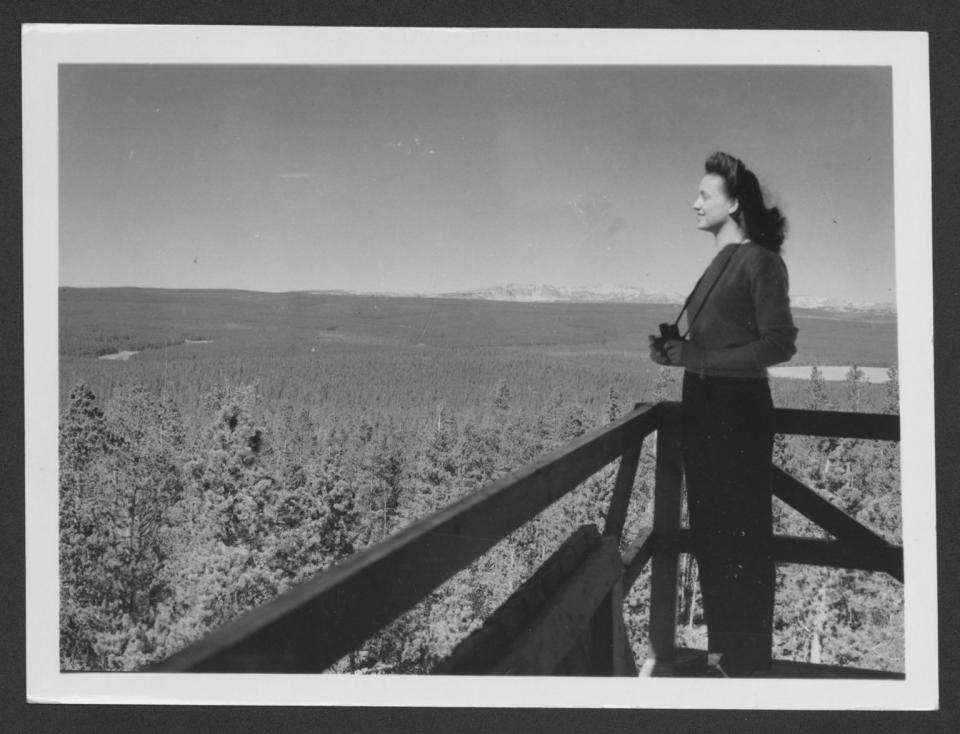 Woman on the balcony of a fire tower lookout gazes over a distant forested horizon
