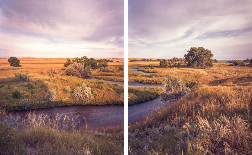 two-panel landscape of grassland with a rive running through it and a large cottonwood in the distance