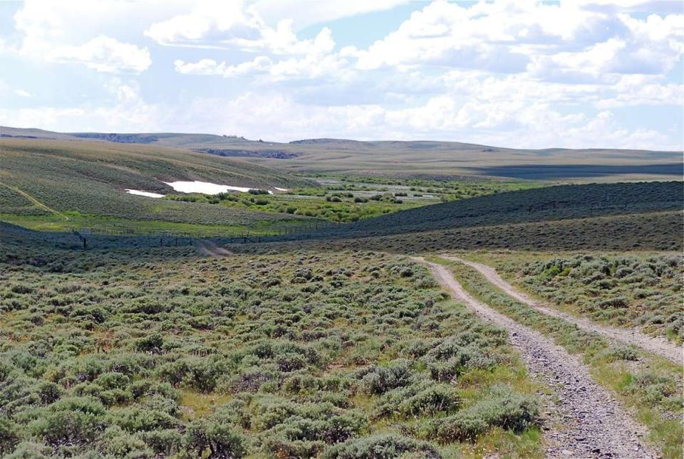 wide open sagebrush plain with a dirt two-track road leading into the distance