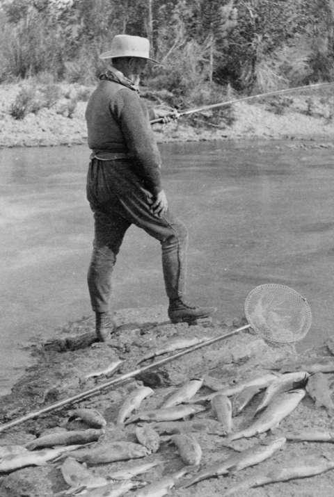 Above, Brig. Gen. Anson Stager fishes in the Gros Ventre River. Below, President Arthur’s catch for the day. The Associated Press reporter traveling with the group claimed the president caught three trout totaling four and a quarter pounds on a single cast—and on six other casts caught two trout each. F. Jay Haynes photo, Library of Congress.