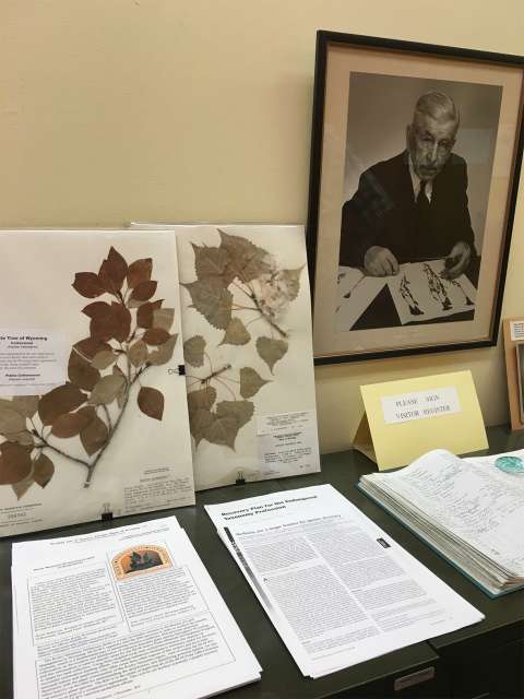 A photograph of Aven Nelson hangs at the Rocky Mountain Herbarium, which he founded in the early days of the university. Lori Van Pelt.