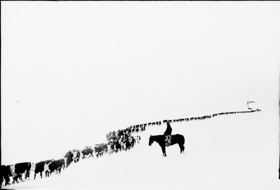 This may be Belden’s best-known picture. He titled it 'A Long, Long Trail A-windin' ' after a World War I-era popular song. Buffalo Bill Center of the West.