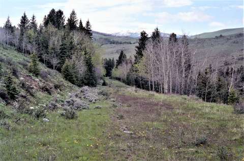 This short segment of abandoned roadbed is located on the east side of U.S. Route 16 south of the Hunter Creek Road in the Bighorn Mountains. A realignment of the highway cut off this piece in order to replace some of the sharper curves on the earlier road. Authors photo, 1988. 