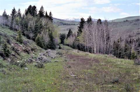 This short segment of abandoned roadbed is located on the east side of U.S. Route 16 south of the Hunter Creek Road in the Bighorn Mountains.  A realignment of the highway cut off this piece in order to replace some of the sharper curves on the earlier road. Authors photo, 1988. 