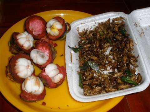 A delicious breakfast in contemporary Thailand—mangosteens (a fruit), with crickets and spices sautéed in oil. Will Robinson.