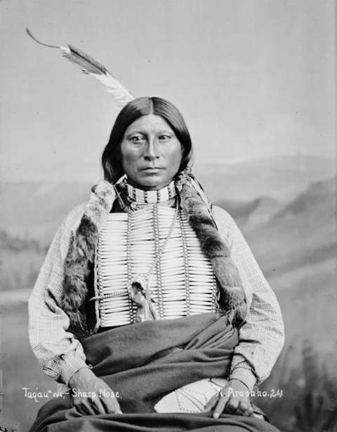 Arapaho leader Sharp Nose, shown here in 1882, was Sherman Coolidge's uncle. When Coolidge returned to the reservation as a young divinity student in 1884, he was shocked by the emotion with which his mother, Ba-ahnoce, his uncle and other relatives greeted him. Firstpeople.us.