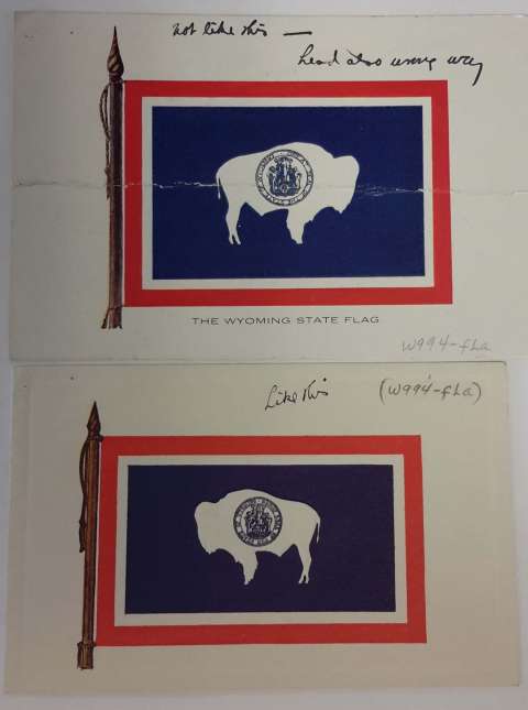 The two postcards Grace Raymond Hebard used to show Verna Keyes the direction Hebard wanted the bison to face, ca. 1917. American Heritage Center archives; photo by author. 