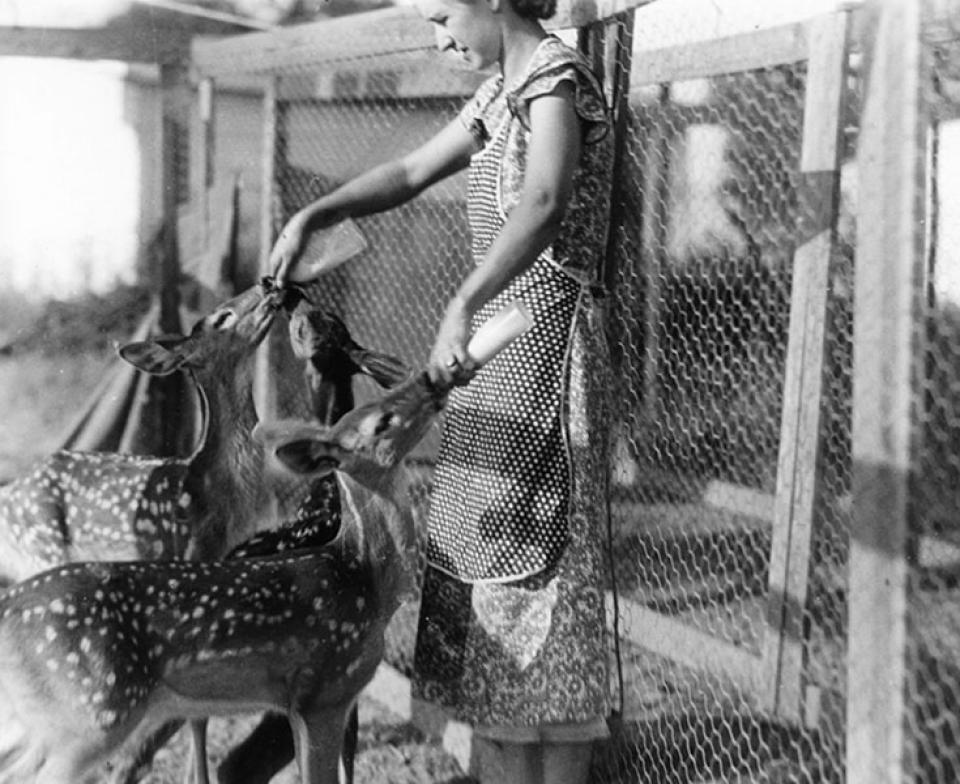 Louise Murie and friends, 1934, when her husband, Adolph, was doing a study of white-tailed deer at the University of Michigan. The Murie Center.