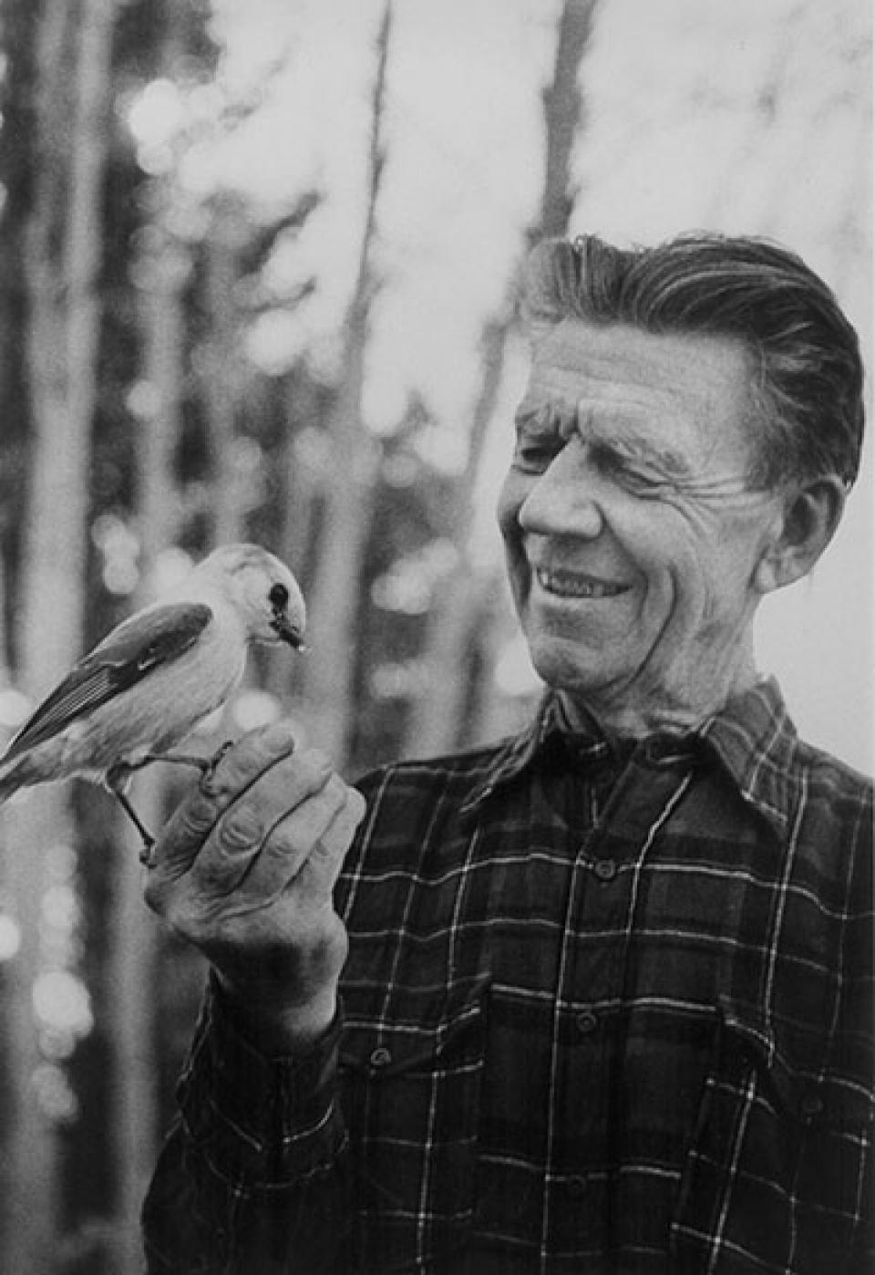 Olaus Murie with a camp robber, probably in Jackson Hole, 1950s. The Murie Center.