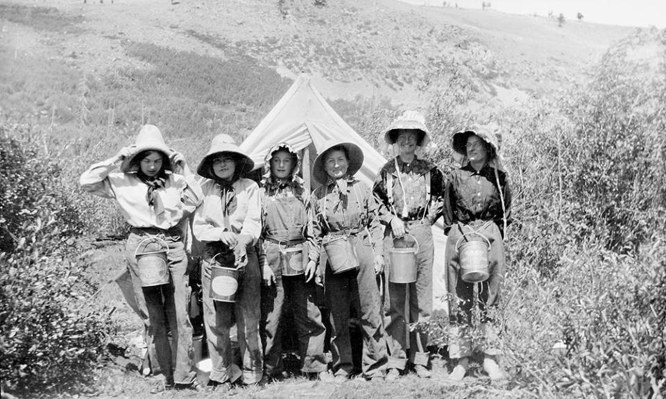 Raspberry pickers, about 1913. Lora Nichols Collection, Grand Encampment Museum.