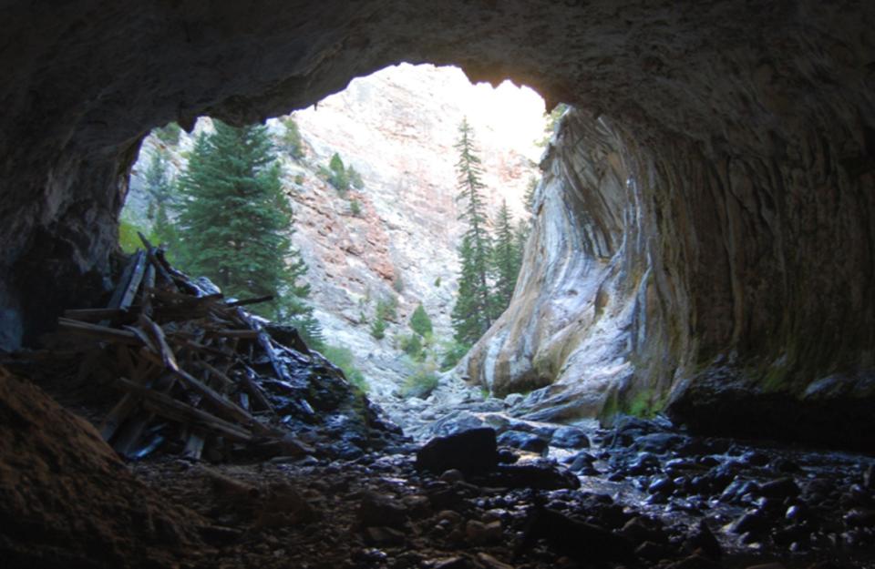 In the eastern part of the canyon, the flume negotiates two so-called natural bridges. In this one, the tunnel-like cavern is about 100 yards long. The flume since it was abandoned has become completely encased in travertine deposits on the west end. Eye bolts and steel cables used to suspend the flume are still visible on the walls. E. Rosenberg, 2010.