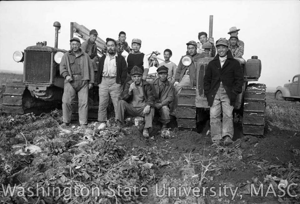 Hirahara collection, Washington State University Libraries