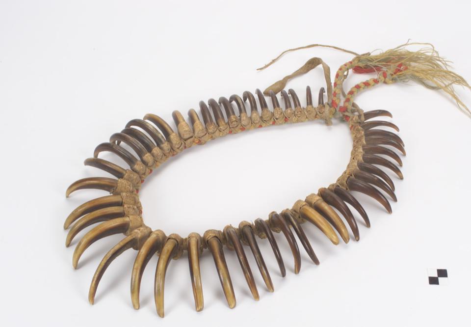 Lakota grizzly bear claw necklace with red trade wool decoration. The difficulty of killing a grizzly and claiming its claws marked the wearer as an accomplished and brave man.  NMAI, Smithsonian Institution, catalog number 8/8020. 