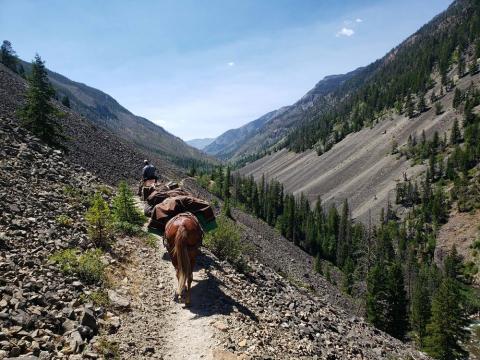 A pack train from behind, headed down a mountain trail along a valley